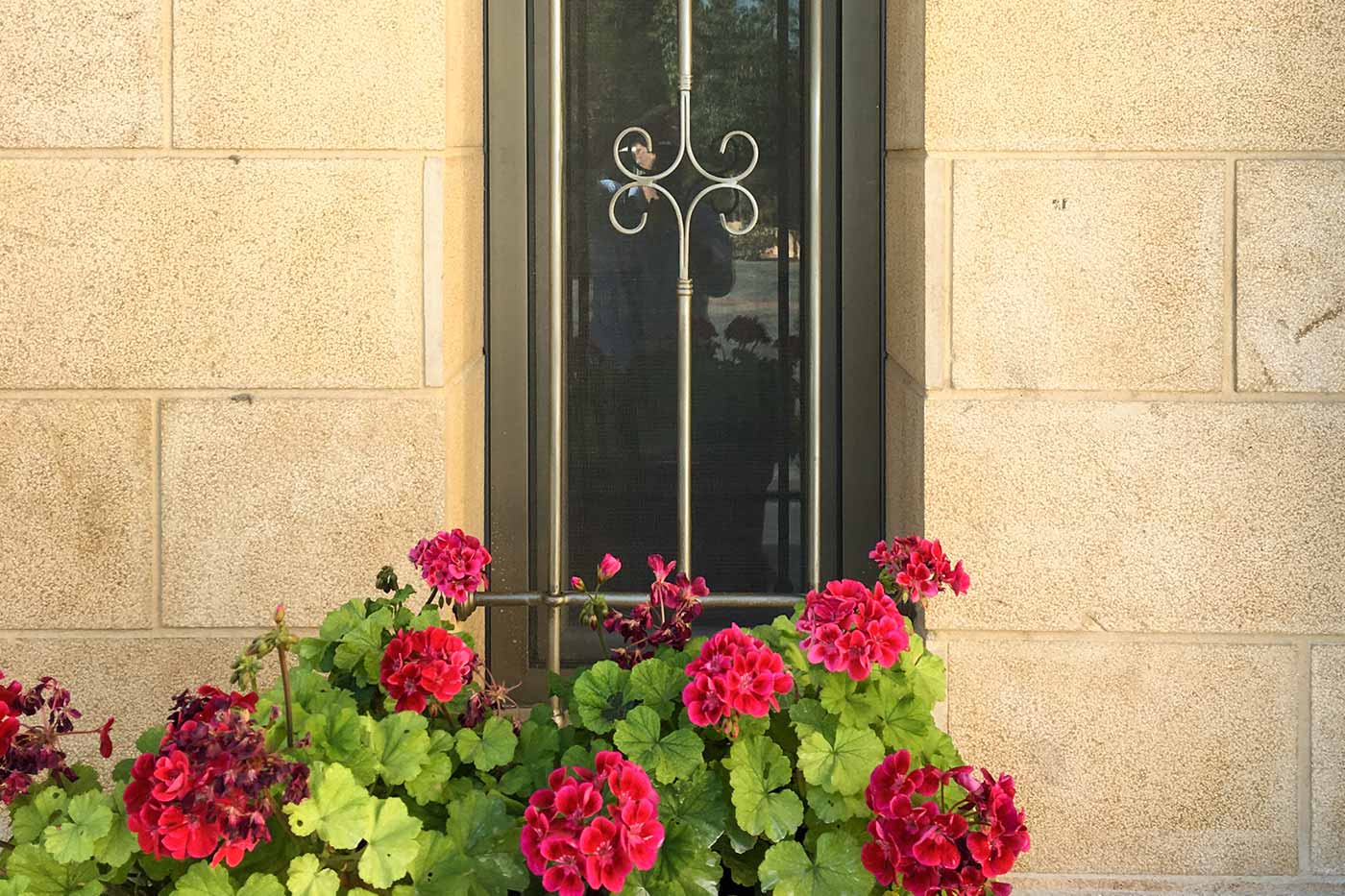 Hisham Merhi Villa - Window with Flowers