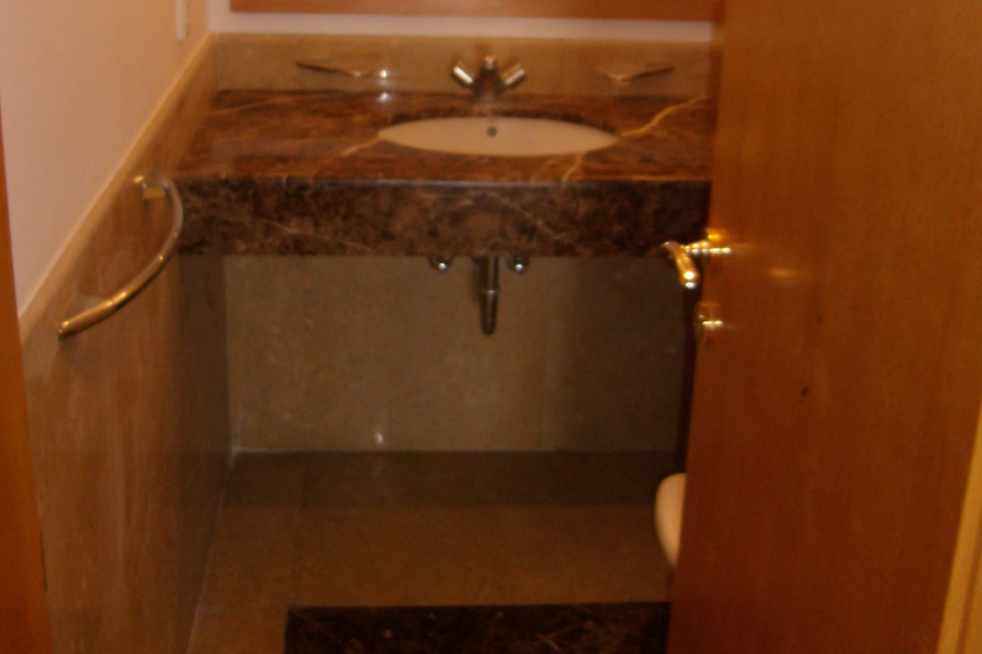 Trabaud Residence - Bathroom Sink